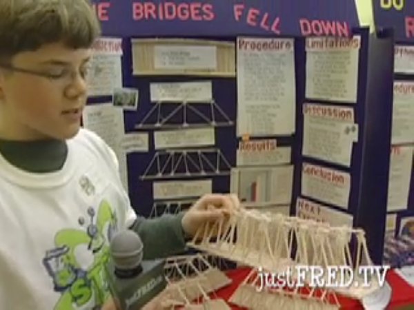 stem_expo_2008_bridges.swf