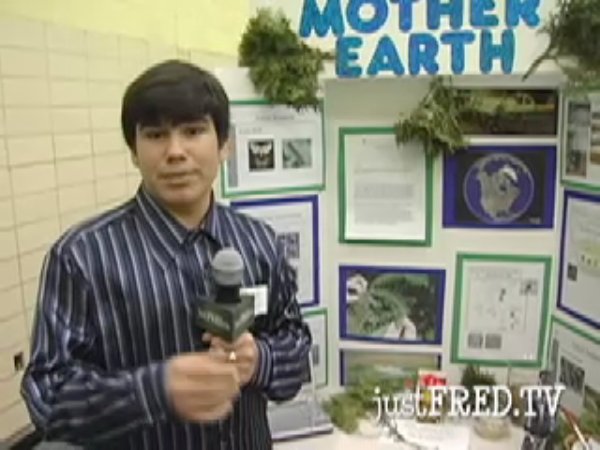 stem_expo_2008_mother_earth.swf