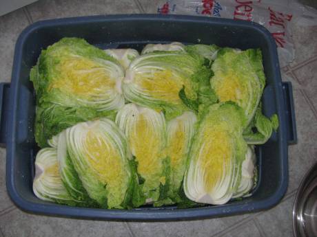 Ingredients
Ingredients
chinese  cabbages (10 heads)
turnips (2 medium size)
green  onions (8 bunch)
garlic (10 head)
ginger ( little bit)
fish sauce (200ml)
suger ( 1 table spoon)
salt (500 g)
red pepper powder (1.6 L)
