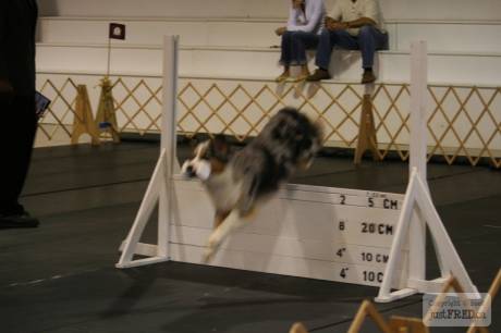 IMG_7478.JPG