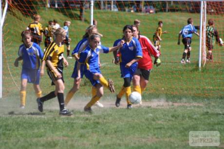 IMG_8987.JPG