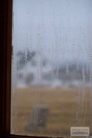 100_0121.JPG