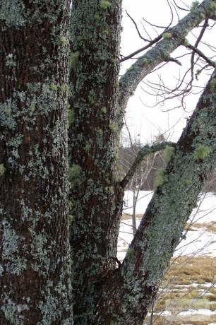 100_0149.JPG