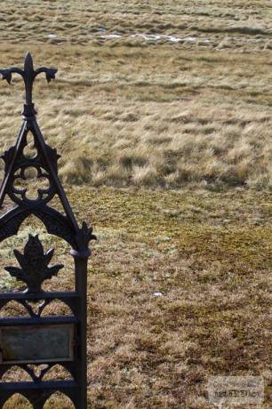 100_0162.JPG
