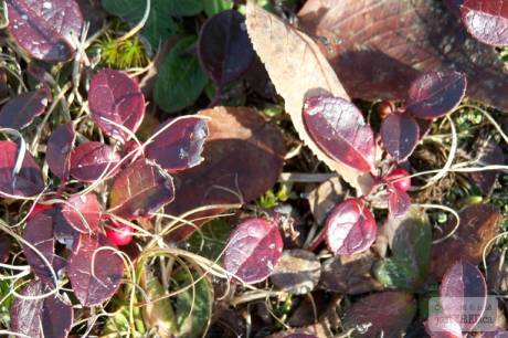 100_0166.JPG