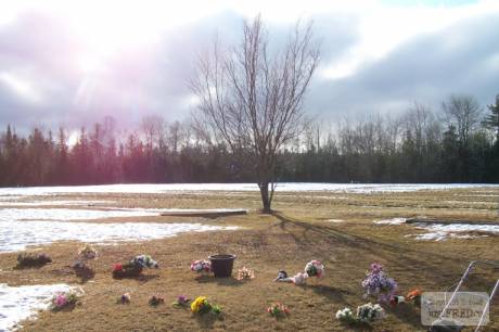 100_0178.JPG