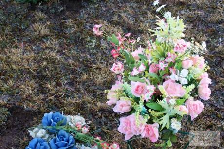 100_0180.JPG