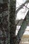 100_0149.JPG