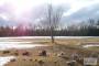 100_0178.JPG