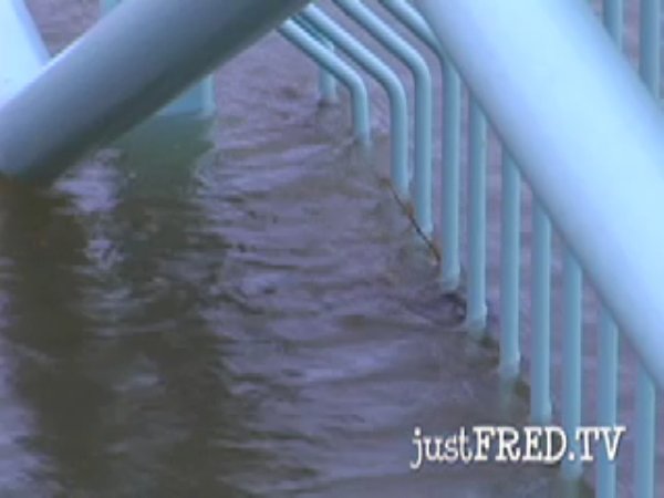 river_flood_apr30_02.swf