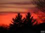 cindi_sunsets_2008_10310023.JPG