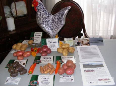 2008_11040027.JPG