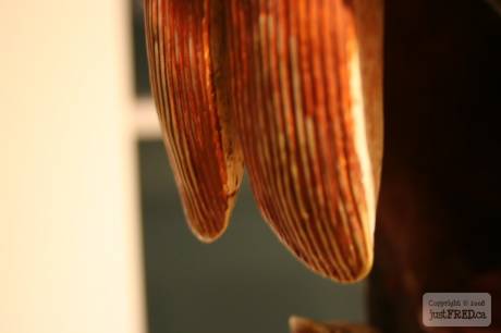 IMG_1888.JPG