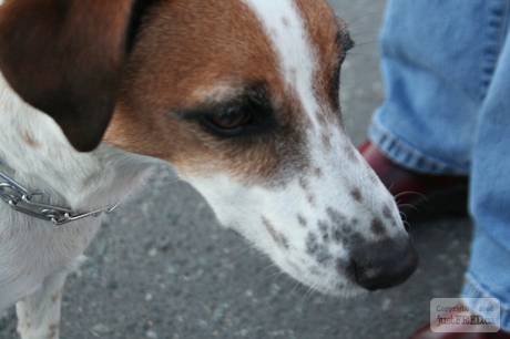 IMG_5853.jpg